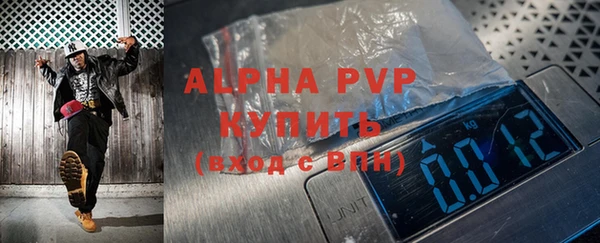 ПСИЛОЦИБИНОВЫЕ ГРИБЫ Покров