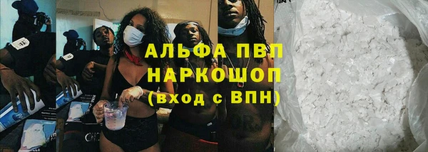 ПСИЛОЦИБИНОВЫЕ ГРИБЫ Покров