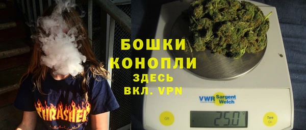 ПСИЛОЦИБИНОВЫЕ ГРИБЫ Покров