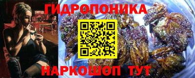 стафф Заволжье