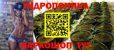 стафф Заволжье