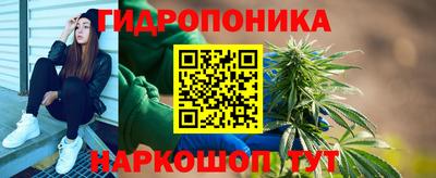 стафф Заволжье