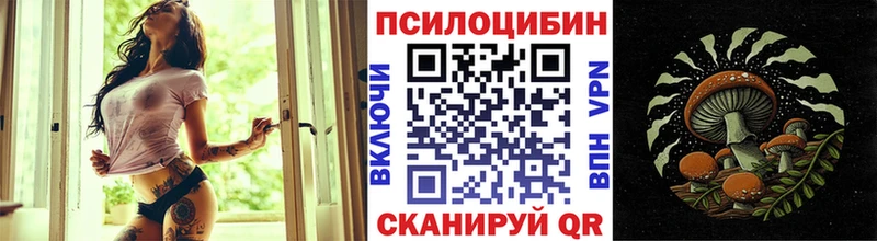 MEGA   купить наркотики цена  Астрахань  Псилоцибиновые грибы мицелий 