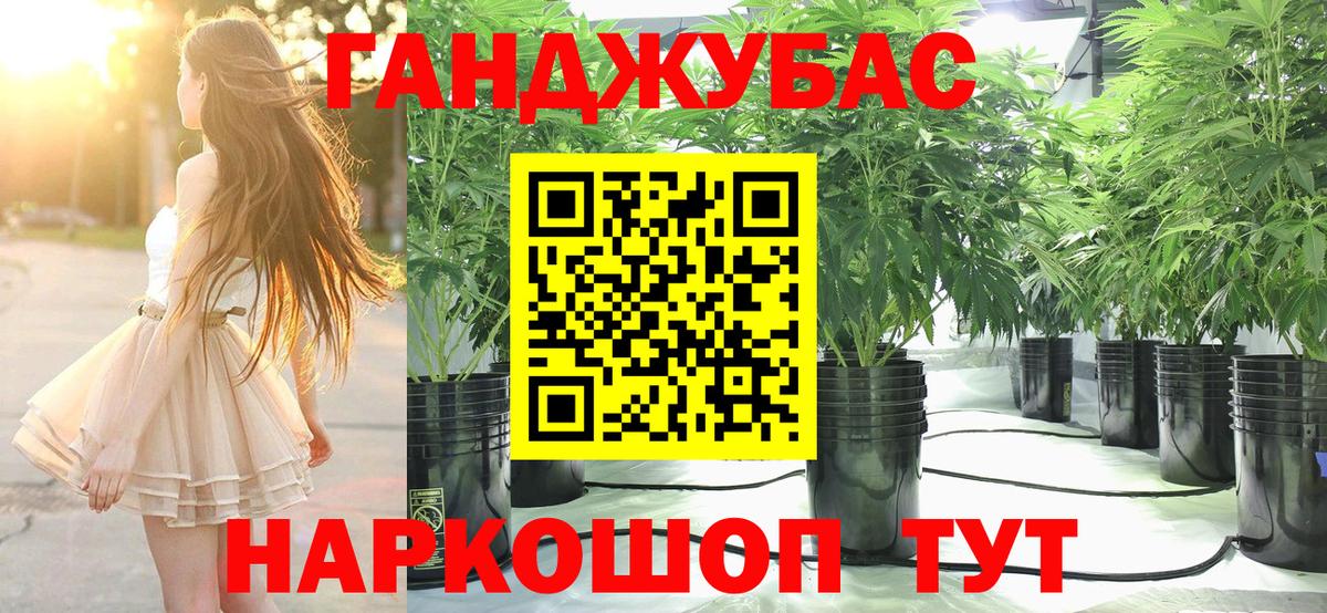 Шишки марихуана VHQ  МАРИХУАНА планчик  Бошки марихуана ГИДРОПОН  Бошки марихуана White Widow  Астрахань  Вход с VPN 